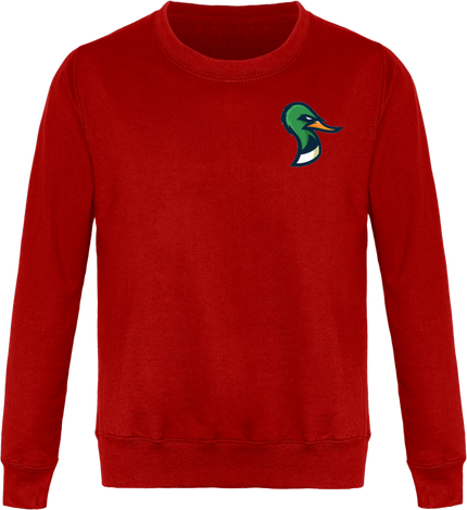 SWEAT sauvagnier 