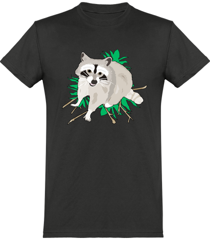Raccoon