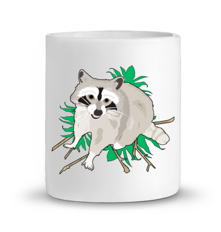 Raccoon