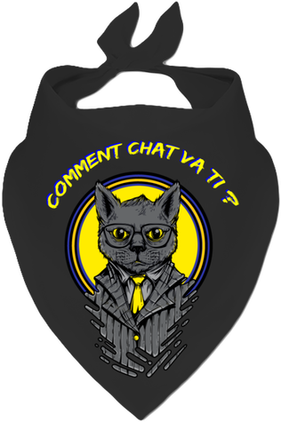 COMMENT CHAT VA TI ?