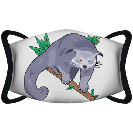 Binturong