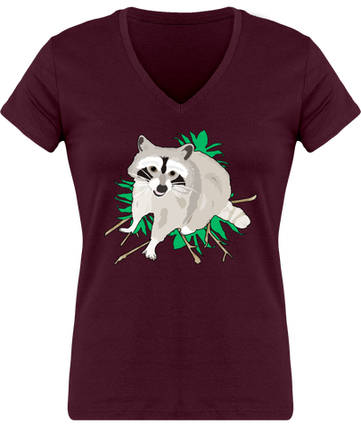 Raccoon