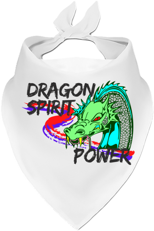 DRAGON SPIRIT POWER.