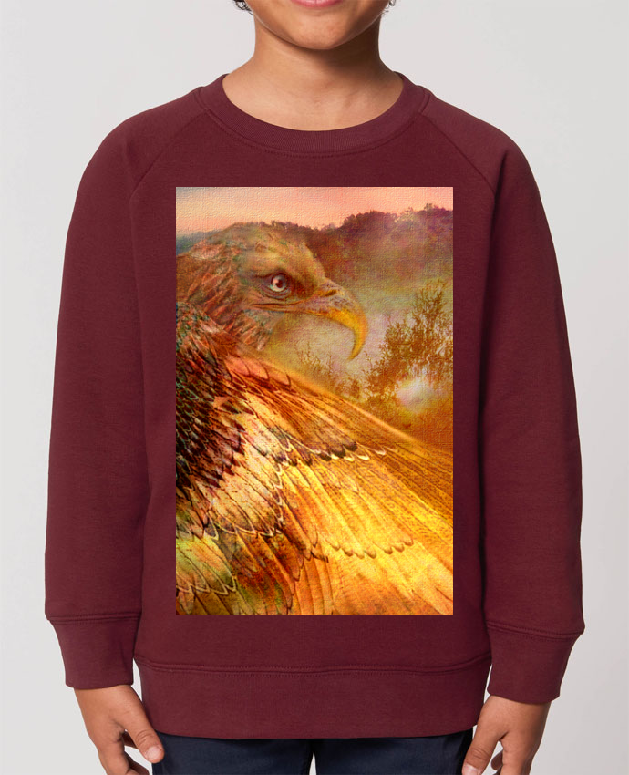 Sweat shirt enfant Aigle Par Jaspaia