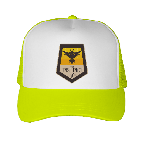 POKEMON GO FRANCE - Team Intuition