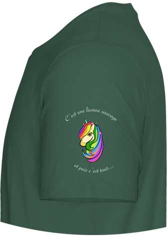 C'est une licorne